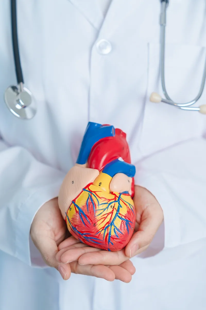 especialistas-en-cardiologia-intervencionista-en-cdmx